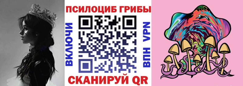 мега маркетплейс  цена наркотик  Агрыз  Галлюциногенные грибы GOLDEN TEACHER 
